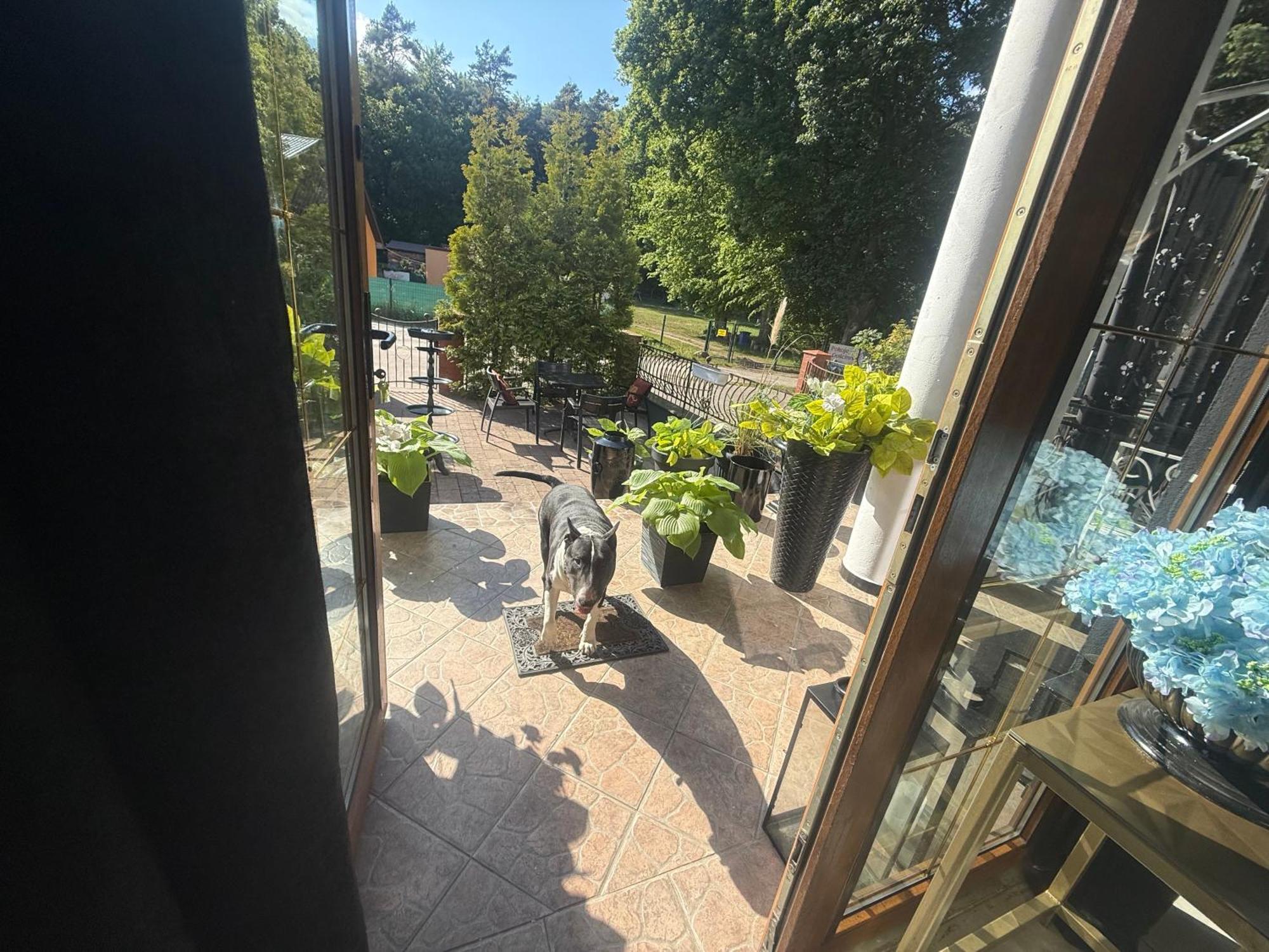 Korab Wiselka & Spa Hotell Eksteriør bilde